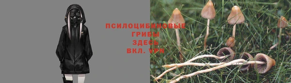 таблы Верхний Тагил